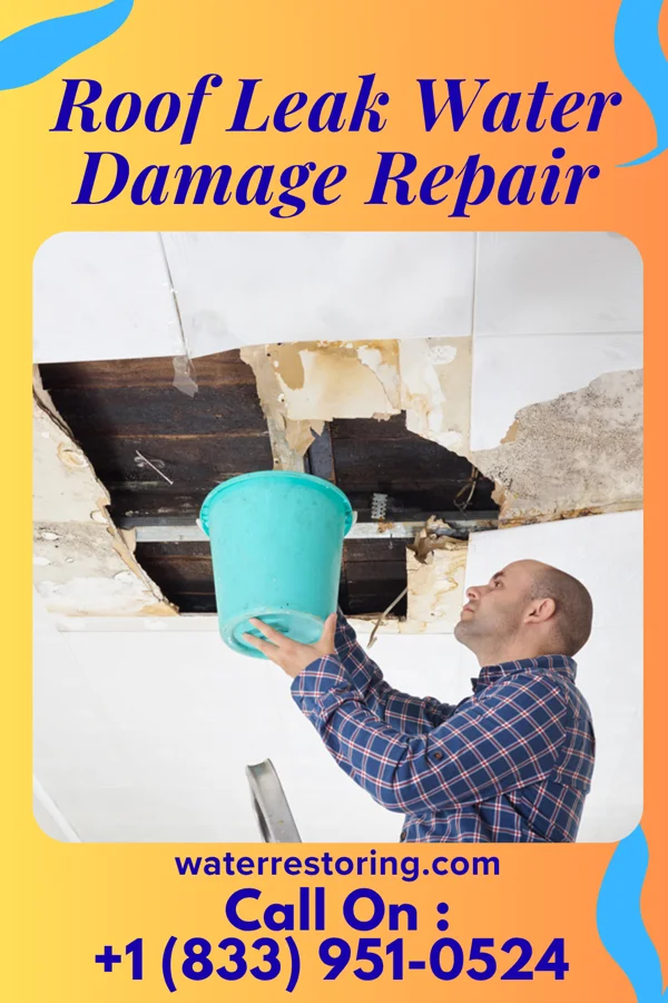 Roof Leak Water Damage Repair in Cedar, KS